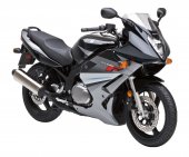 2011 Suzuki GS500F photo